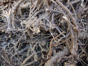 白面风根 潮汕特产 白山芷 野生牛耳风 野生白面