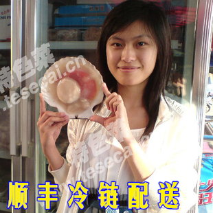  海鲜 海产品 大 贝柱 扇贝王 大连獐子岛 扇贝 贝壳 新鲜 水产品