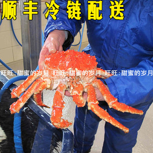  2-6斤一只 帝王蟹 青蟹 螃蟹 蟹 水产 新鲜 鲜活 海鲜 送吃蟹工具