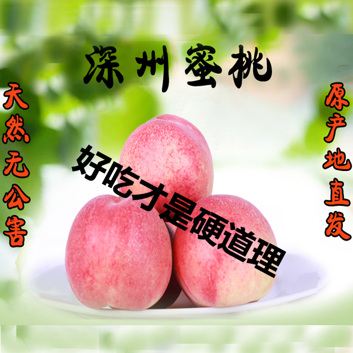 深州水蜜桃特产桃子比油桃好吃原产地直发的蜜桃4.5斤包邮的毛桃|ruв категории водной мясо/свежие фрукты и овощи/еда, свежие фрукты, персик - от Buy2taobao.com для оказания профессиональной услуги покупки агента Taobao