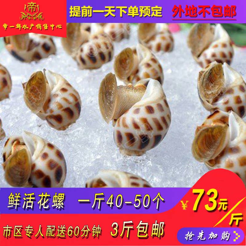 天津鮮活花螺東風螺海豬南風同城海鮮2019新品2斤起拍角螺海螺絲在類目 水產肉類/新鮮蔬果/熟食, 海鮮/水產品/製品, 貝類, 貝類製品中 - 來自Buy2taobao.com提供專業的淘寶代購服務