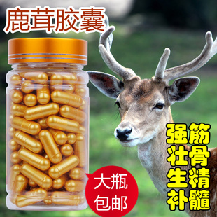  【315行动】东北特产 鹿茸胶囊正品 中药补肾虚强筋壮骨 生精补髓