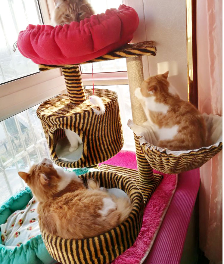 Cats shelf Cat litter one Kitty Climbing villa Big Cats Support Cat Tree Tree House Cat jumping Sisal luxuryin the Pet/Pet food and supplies , Cat/Dog Toys , Cat Tree category - from Buy2taobao.com to provide professional Taobao agent buy service