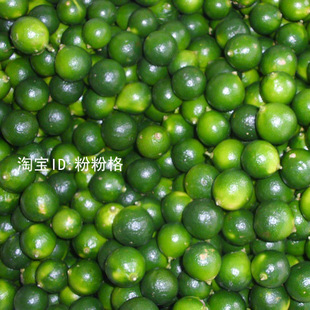  新鲜水果 海南青金桔 小青桔 4元/斤 江浙沪皖粤桂运费10元包邮