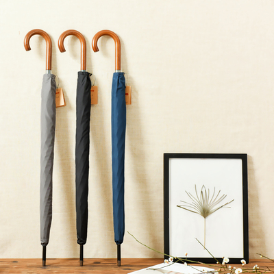 简约复古自动商务雨伞长柄男士超大号双人加固个性创意潮流长柄伞