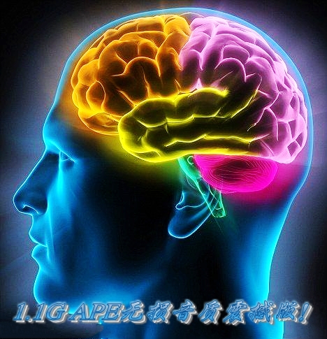 美国阿尔法脑波音乐\/右脑潜能开发\/减压提高记