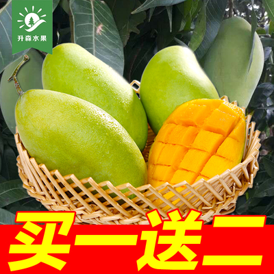 【升森水果】青皮芒果新鲜水果 玉芒青芒热带水果包邮