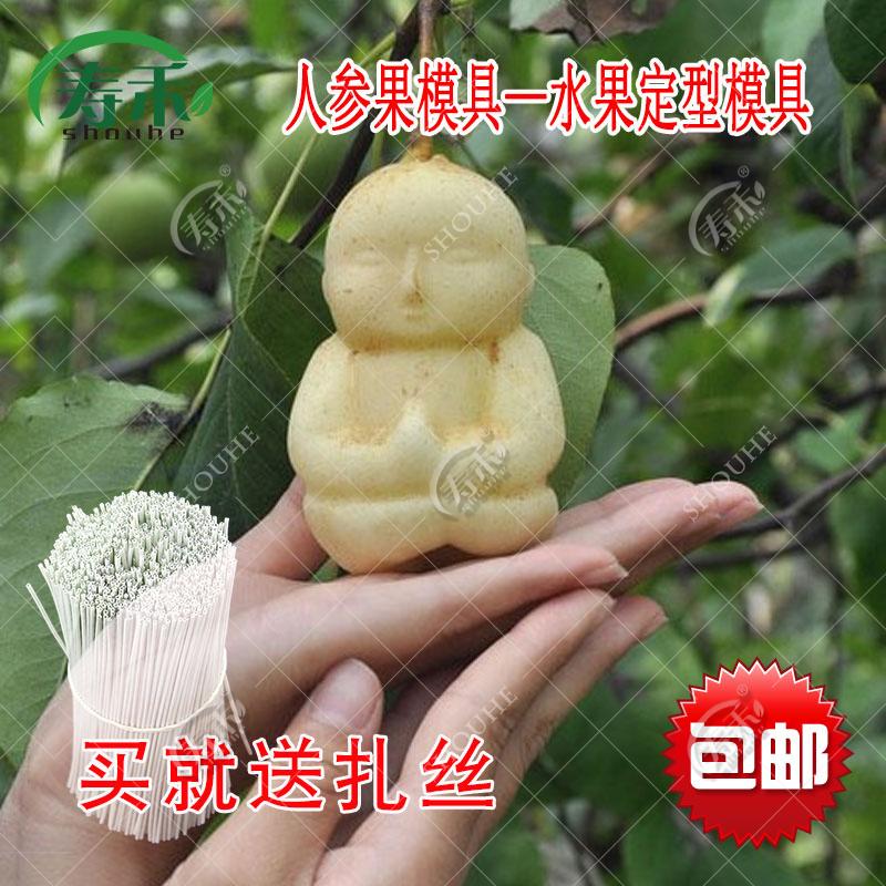 方形西瓜模具模型磨具人生果定型水果生长模子心形黄瓜造型成型在类目 鲜花速递/花卉仿真/绿植园艺, DIY仿真花材料, 制作工具(新), 模具中 - 来自Buy2taobao.com提供专业的淘宝代购服务