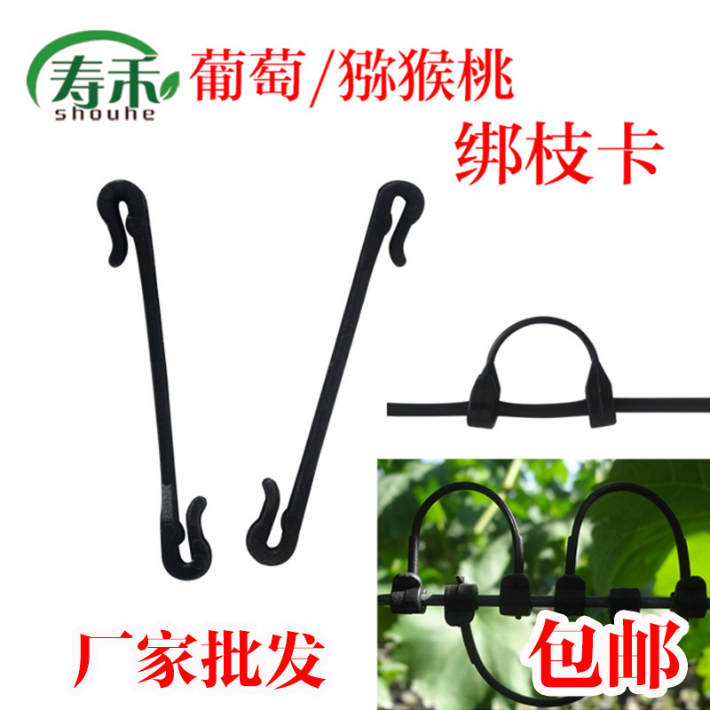 农用绑蔓卡葡萄猕猴桃绑枝卡绑枝器绑枝扣塑料卡扣绑蔓卡子绑枝器|ruв категории доставка цветов/цветок моделирования/растения садоводства, садовых принадлежностей, других садовых принадлежностей - от Buy2taobao.com для оказания профессиональной услуги покупки агента Taobao