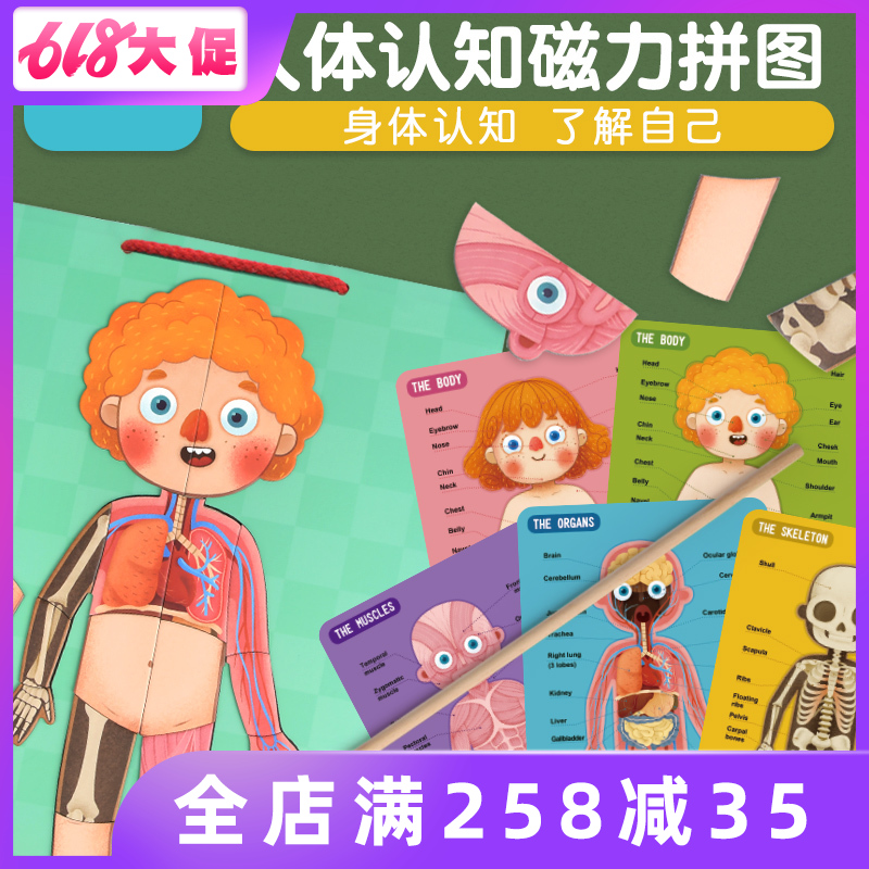 Mideer弥鹿人体拼图科学认知宝宝磁力磁性挂板拼板益智玩具3-6岁在类目 玩具/童车/益智/积木/模型, 串珠/拼图/配对/拆装/敲打玩具, 拼图/拼板中 - 来自Buy2taobao.com提供专业的淘宝代购服务