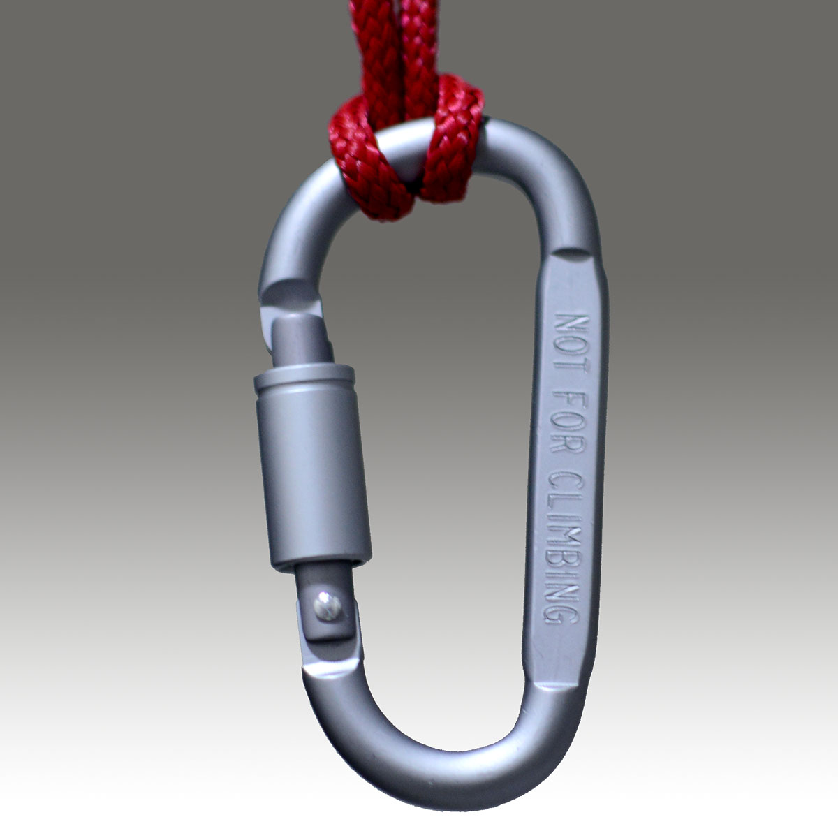 Outdoor Carabiner Fast hang buckle Type 8 D D word deduction Key buckle with lockin the Outdoor/Mountaineer/Camping/Travel Goods , Tool/Multi Tools , Hanging buckle category - from Buy2taobao.com to provide professional Taobao agent buy service