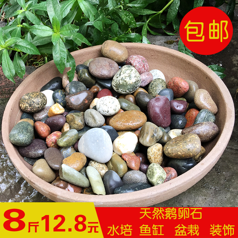 雨花石 装饰五彩石头彩色小石子多肉盆栽天然白石子花盆装饰鱼缸|msdalam kategori penghantaran bunga/bunga simulasi/tumbuhan berkebun, Gardening Supplies, Peralatan Perkebunan lain - dari Buy2taobao.com untuk memberikan perkhidmatan ejen Taobao profesional membeli