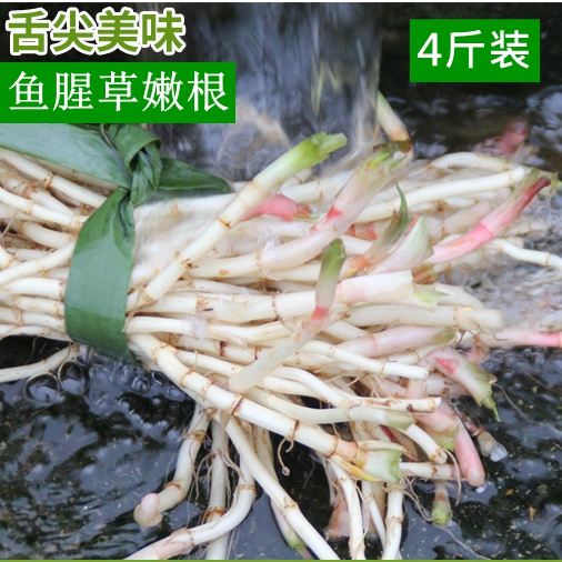 4斤新鮮折耳根魚腥草嫩芽兒嫩尖嫩根野生非葉子清脆節節根側耳根在類目 水產肉類/新鮮蔬果/熟食, 新鮮蔬菜/蔬菜製品, 新鮮蔬菜, 其它中 - 來自Buy2taobao.com提供專業的淘寶代購服務
