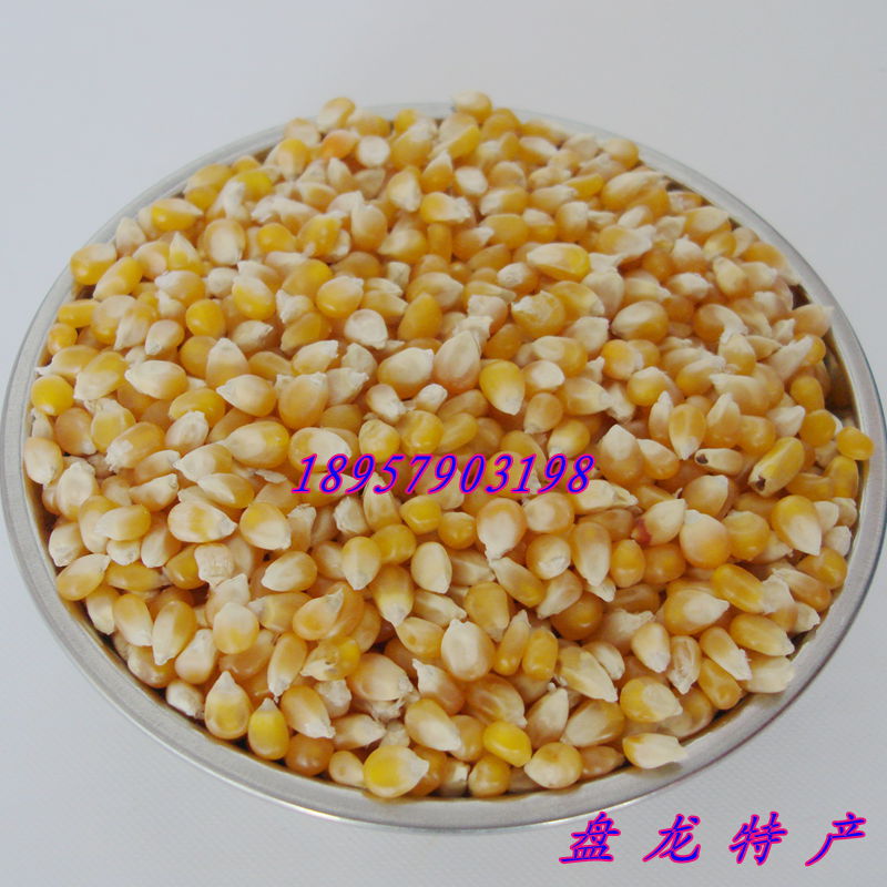 东北杂粮 粗粮 爆裂玉米 爆米花玉米粒 500g散称在类目 粮油米面/南北干货/调味品, 米/面粉/杂粮, 玉米中 - 来自Buy2taobao.com提供专业的淘宝代购服务