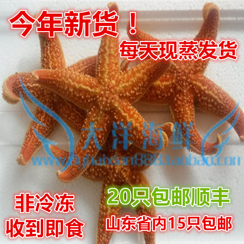 青島野生即食海星 新鮮海鮮 海五星 海鮮鮮活 20只包郵順豐在類目 水產肉類/新鮮蔬果/熟食, 海鮮/水產品/製品, 其它中 - 來自Buy2taobao.com提供專業的淘寶代購服務