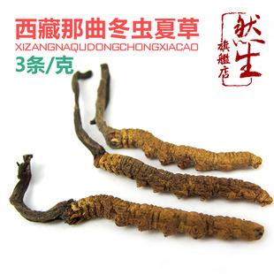  然生 正品保证特级西藏那曲冬虫夏草 精选3根/克虫草 高级滋补品