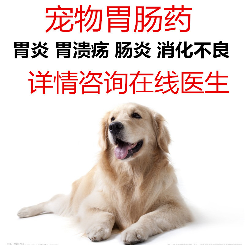 宠物胃肠宁穿白痢康肠消化不良食欲不振温中补气.健脾止泻|ruв категории животное/Животное питание и принадлежностей, кошка/собака медицинских товаров - от Buy2taobao.com для оказания профессиональной услуги покупки агента Taobao