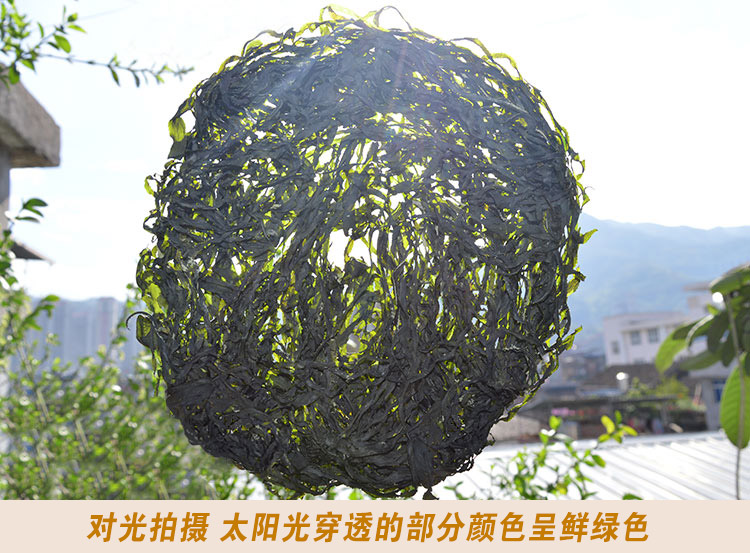 头水海带丝 买二送海带苗|msdalam kategori daging perikanan/Buah-buahan segar dan sayur-sayuran/dimasak, makanan laut/produk akuatik/produk, alga, Kelp - dari Buy2taobao.com untuk memberikan perkhidmatan ejen Taobao profesional membeli