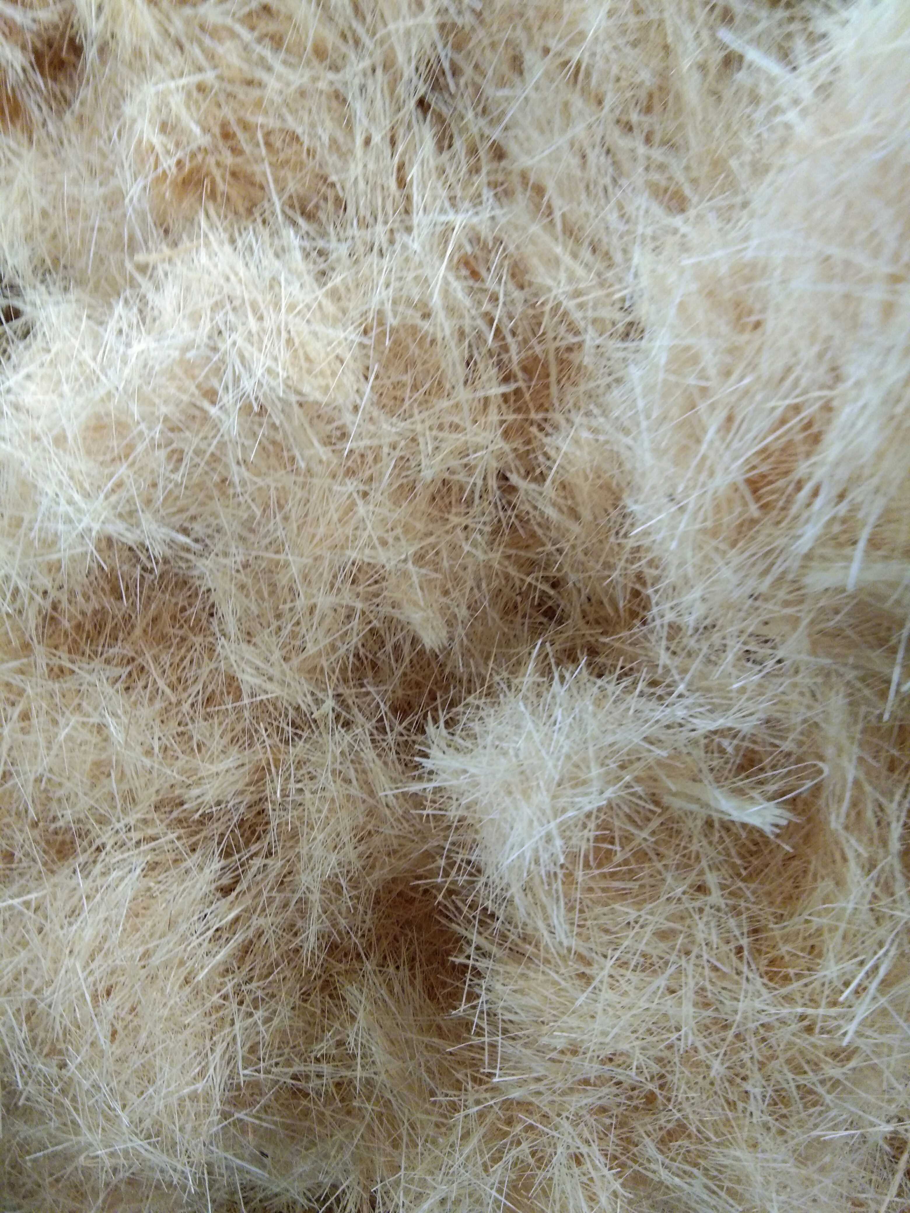 brand new Brazil Sisal fibre cut off Hemp Cattyin the Basic building materials , New decorative materials , Decorative sound-absorbing material category - from Buy2taobao.com to provide professional Taobao agent buy service