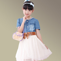 <em>夏装清仓特价</em>蕾丝粉色女童公主连衣裙儿童装少