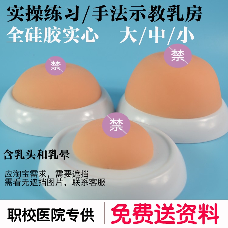 培训学校催乳师培训教具假胸乳房模型小中号全硅胶实心妇幼卫生院在类目 玩具/童车/益智/积木/模型, 静态模型, 其他模型玩具中 - 来自Buy2taobao.com提供专业的淘宝代购服务