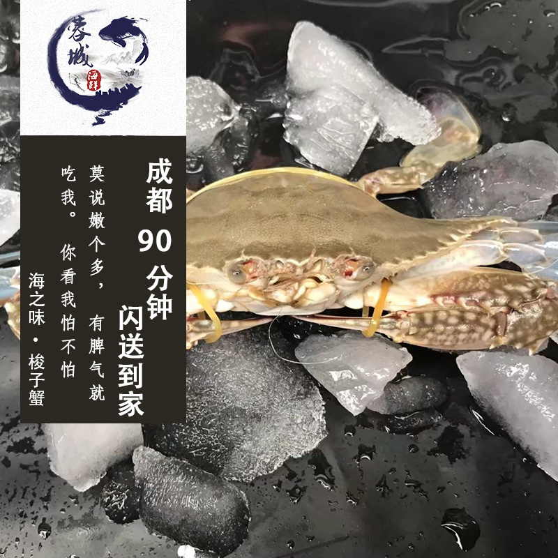 成都海鲜急送 鲜活 梭子蟹 海蟹 公蟹 白蟹 螃蟹 1斤/约3只在类目 水产肉类/新鲜蔬果/熟食, 海鲜/水产品/制品, 蟹类, 蟹类制品中 - 来自Buy2taobao.com提供专业的淘宝代购服务