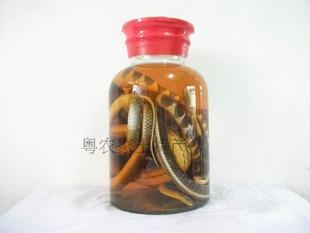  五蛇酒三蛇酒祛风湿蛇酒保健药酒传统滋补保健酒蛇酒年份老酒蛇酒