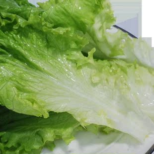  【嗨庄园】新鲜蔬菜有机罗沙绿生菜200g