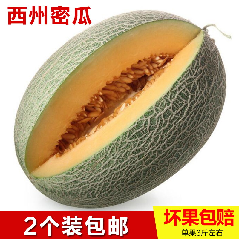 现摘现发哈密瓜甜瓜西州网纹密瓜当季时令水果新鲜2个装7-9斤包邮|ruв категории водной мясо/свежие фрукты и овощи/еда, свежие фрукты, дыня - от Buy2taobao.com для оказания профессиональной услуги покупки агента Taobao