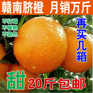  超甜！ 正宗赣南脐橙 信丰甜橙子 有机新鲜水果 20斤包 老肖