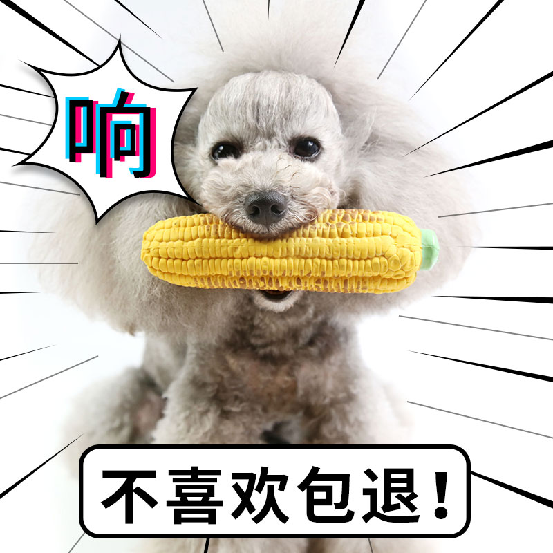 福利款出口日本碳烤糊玉米宠物乳胶发声玩具蛋蛋君狗玩具泰迪最爱在类目 宠物/宠物食品及用品, 猫/狗玩具, 发声玩具中 - 来自Buy2taobao.com提供专业的淘宝代购服务