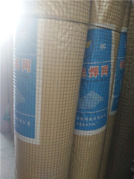 1/4鐵絲網冷鍍鋅電焊網假山專用網擋水泥鋼絲網小孔電焊網粉刷網在類目 基礎建材, 其它基礎建材, 安全網中 - 來自Buy2taobao.com提供專業的淘寶代購服務