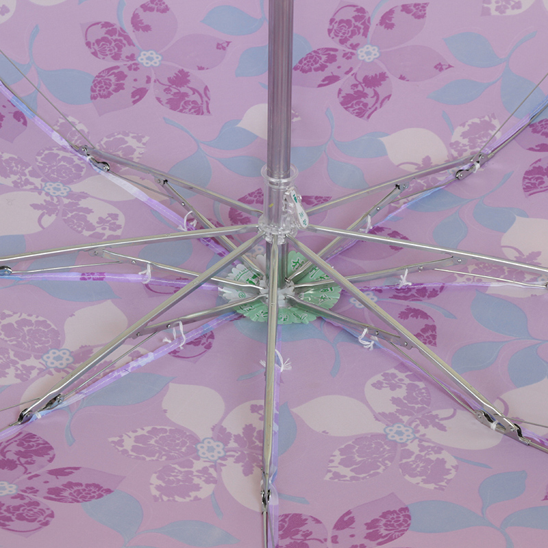 西湖创意个性雨伞