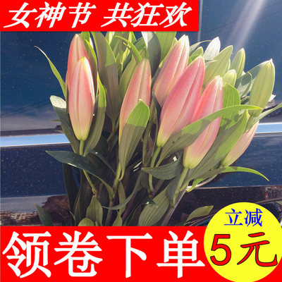 云南昆明基地直发百合花一扎直批玫瑰花水养鲜花花束批发同城速递