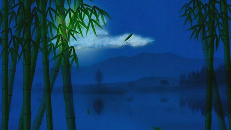008 月光下的凤尾竹 葫芦丝演奏背景视频素材