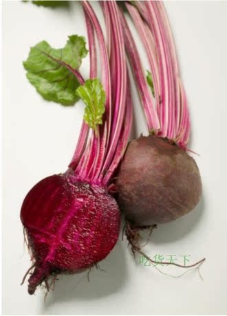 紫菜头\/红甜菜根头\/红菜头