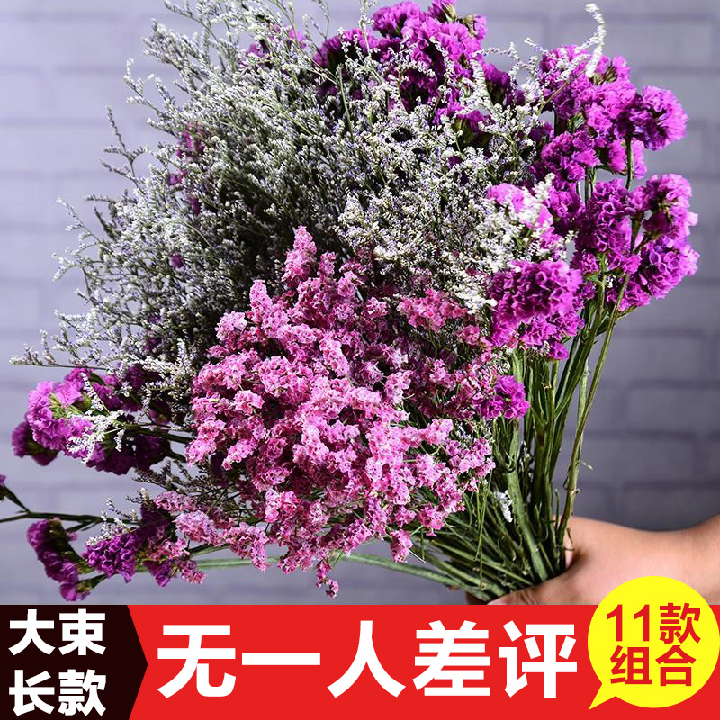 勿忘我真花装饰摆件云南永生花大小花束网红ins风干插花家居摆设在类目 家居饰品, 花瓶/花器/仿真花/仿真饰品, 干花/花瓣/干花包/干树枝中 - 来自Buy2taobao.com提供专业的淘宝代购服务