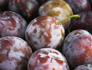  vfruit 品质保证新鲜水果 澳大利亚进口西梅5斤装 198 限北京