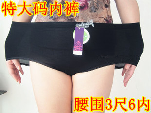 特大码女<em>内裤</em> <em>腰围三尺</em>五内 胖mm多色莫代尔