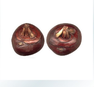  中国有机绿色食品专营 天地生 荸荠 马蹄500g 北京满百包邮