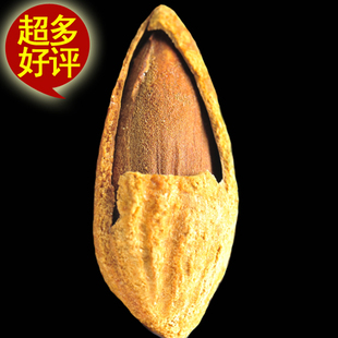  新货纸皮NP巴旦木 新疆特产干果坚果批发干货零食食品