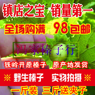 新东北铁岭开原野生水漏榛子薄皮手拍500g部分开口购物满98包邮