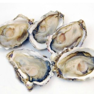  唐人基新鲜活冻生蚝 营养美味 烧烤豆捞火锅必备 5只装