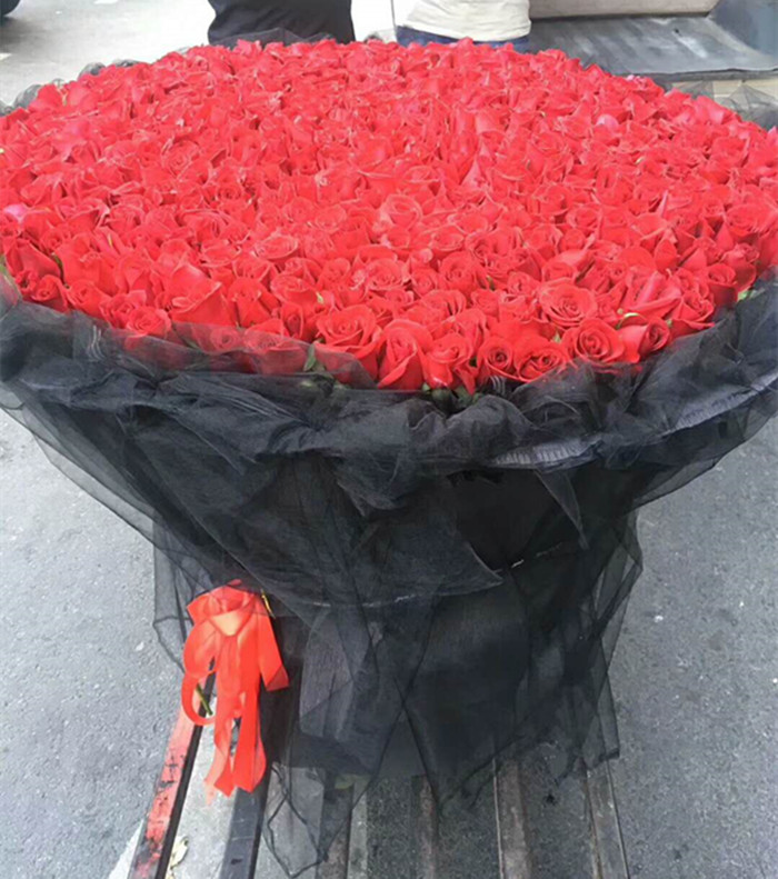 上海鲜花速递生日鲜花情人节七夕节求婚鲜花红玫瑰花束|ruв категории доставка цветов/цветок моделирования/растения садоводства, доставка цветов (город) - от Buy2taobao.com для оказания профессиональной услуги покупки агента Taobao