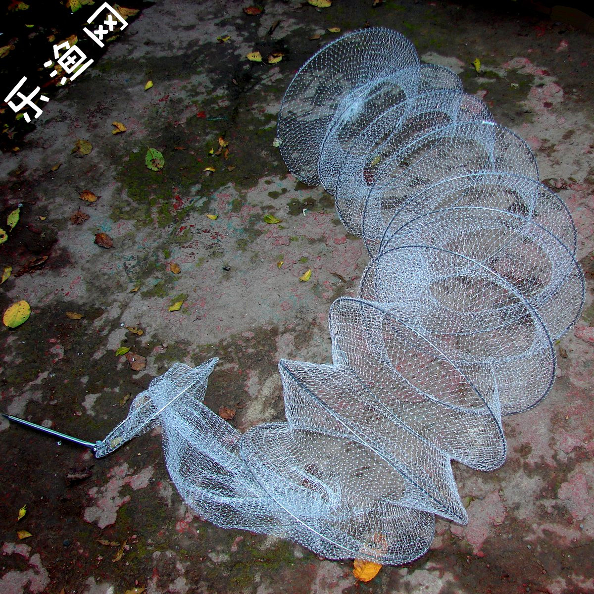 乐渔网十圈两米二长钓鱼线鱼护单丝鱼护鱼兜网袋不挂钩利水在类目 户外/登山/野营/旅行用品, 垂钓装备, 鱼护中 - 来自Buy2taobao.com提供专业的淘宝代购服务