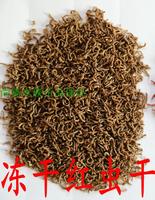 七彩燕鱼鱼食-饲料赤虫干血虫干鱼食冻干红虫