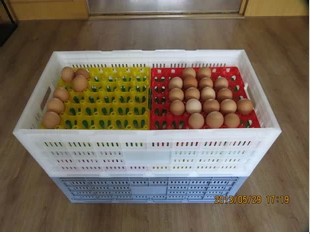 金凤凰鸡蛋箱鸡蛋筐欧式折叠箱周转箱蛋箱配套鸡蛋托收纳箱储物箱在类目 收纳整理, 家庭收纳用具, 储物箱, 收纳箱中 - 来自Buy2taobao.com提供专业的淘宝代购服务