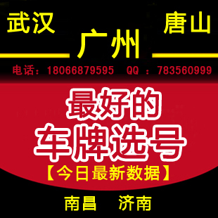 湖北武汉车牌选号软件号码网上自选代选靓号服