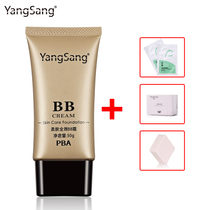 YangSang/杨桑 柔肤全效BB霜50g 裸妆遮瑕强粉底美白保湿正品包邮