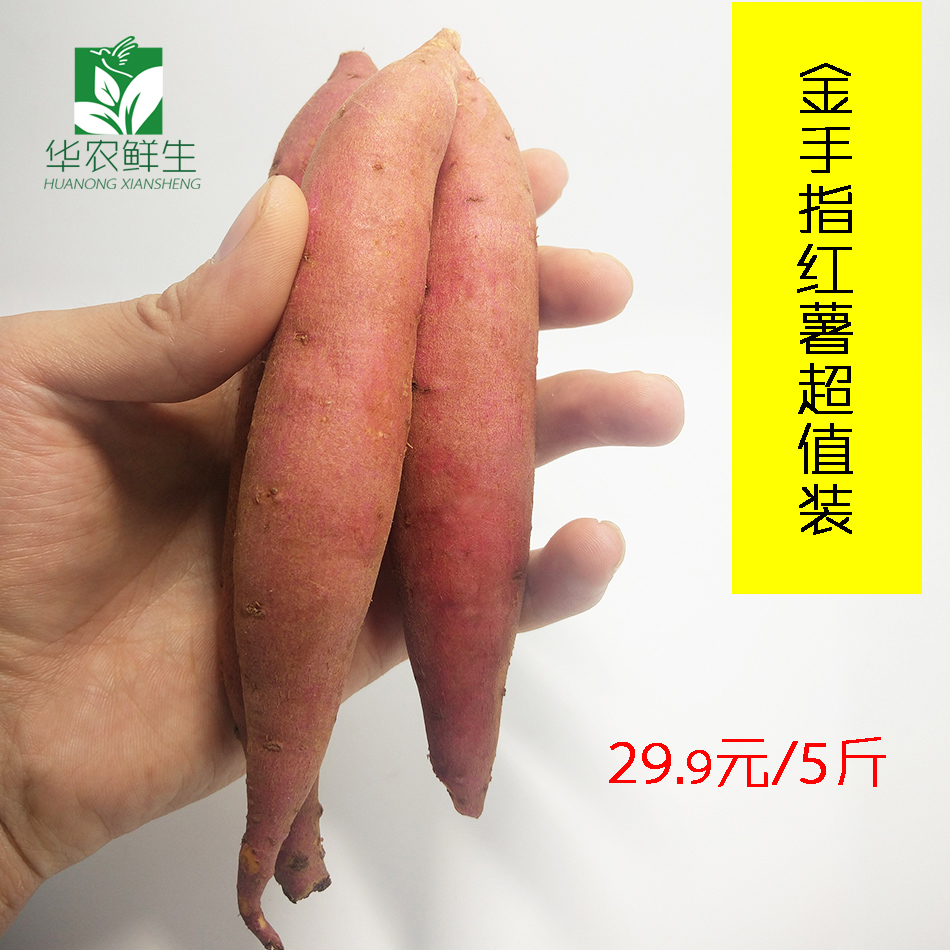 5斤裝好吃又好看的金手指紅薯包郵拇指番薯新鮮地瓜在類目 水產肉類/新鮮蔬果/熟食, 新鮮蔬菜/蔬菜製品, 新鮮蔬菜, 番薯中 - 來自Buy2taobao.com提供專業的淘寶代購服務